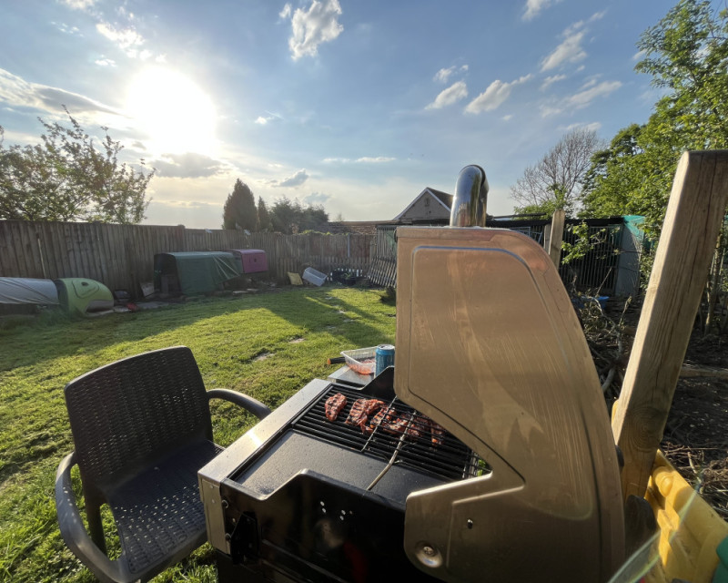 Picture of a gas barbecue, surrounded by freshly mowed grass and chicken coups, under a blue sky.