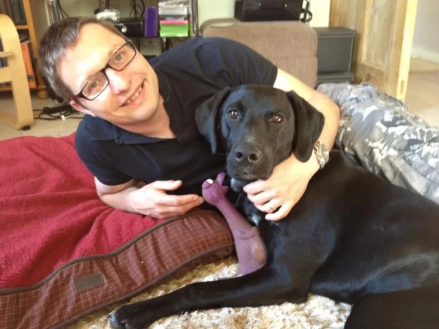 Picture of a black pointer in a group hug on the floor with his human, and his purple rubber dinosaur.