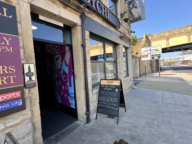 Picture of an excited looking Spaniel puppy about to enter the Royal Dyche in Burnley, with the aqueduct and blue skies beyond