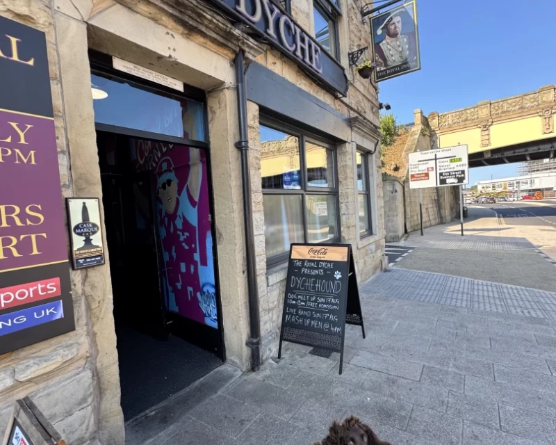 Picture of an excited looking Spaniel puppy about to enter the Royal Dyche in Burnley, with the aqueduct and blue skies beyond