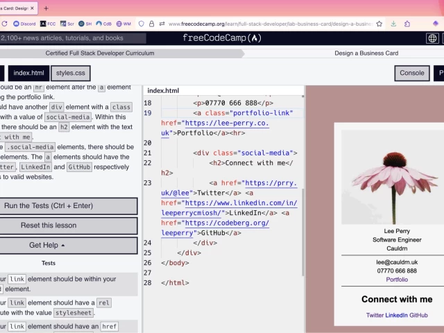 Screenshot of the freecodecamp IDE with task description in the left pane, code in the centre, and output preview to the right